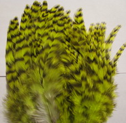 schlappen + saddle grizzly fl chartreuse